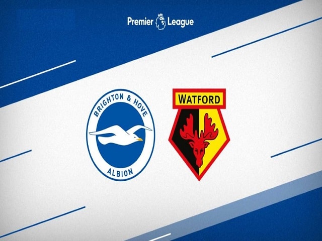 Soi kèo nhà cái Brighton vs Watford, 21/08/2021 – Ngoại Hạng Anh