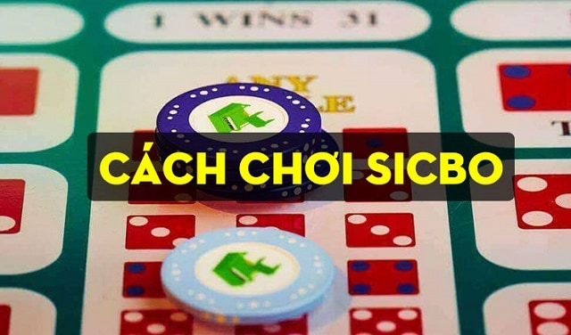 Cách chơi Sicbo hay nhất và đem lại hiệu quả nhanh chóng cho những người mới